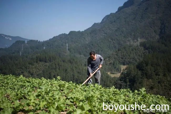 我是农民，迷上农民不该做的事，《迪拜人》杂志登了我的人物专访