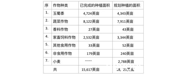 实皆省钦吴县今年冬季种植了其他作物15,617英亩