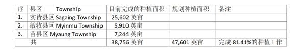 实皆省实皆专区已完成工业原料作物小麦3.8 万多英亩的种植工作