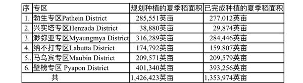 伊洛瓦底省已完成了90%的夏季稻种植工作