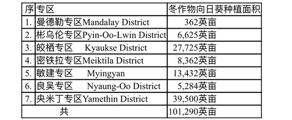 曼德勒省冬作物种植期间将种植10多万英亩的向日葵油料作物